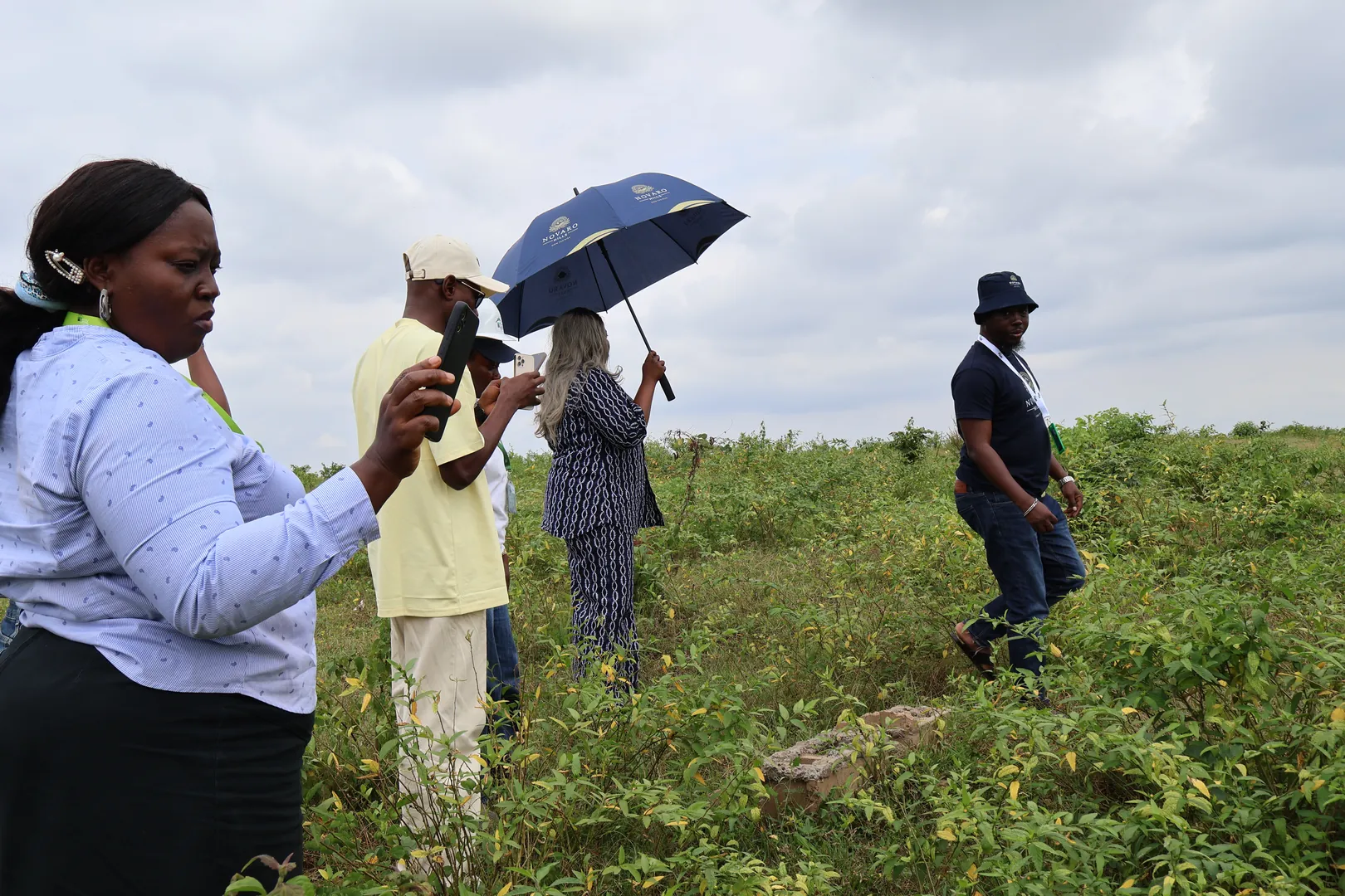 Zeloria guided inspection site photo